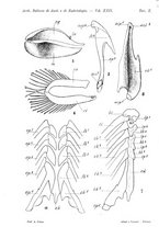 giornale/TO00176875/1925/unico/00000647