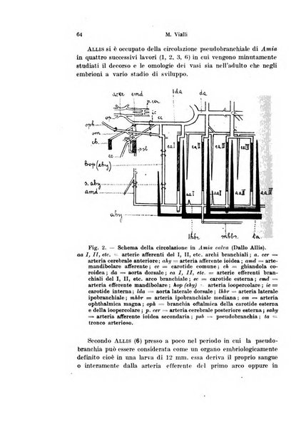 Archivio italiano di anatomia e di embriologia