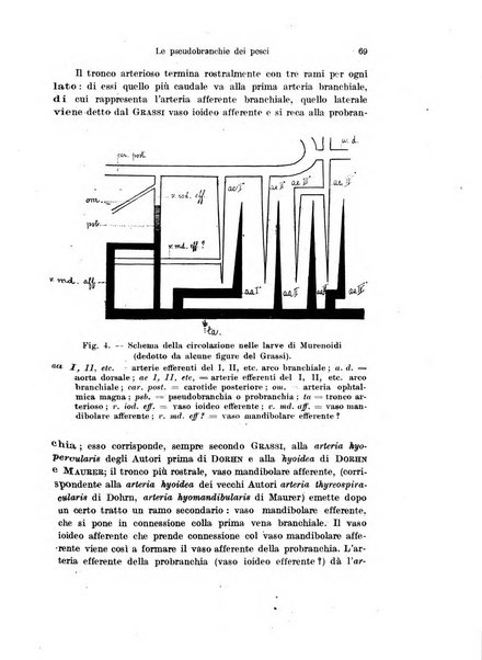 Archivio italiano di anatomia e di embriologia