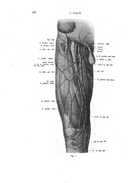 Archivio italiano di anatomia e di embriologia