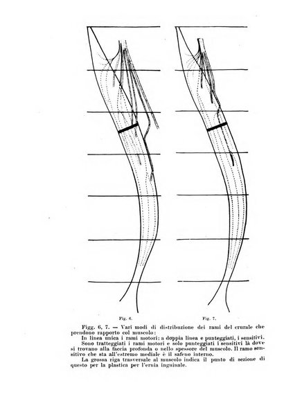 Archivio italiano di anatomia e di embriologia