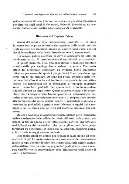 Archivio italiano di anatomia e di embriologia