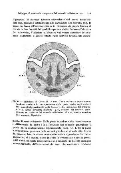 Archivio italiano di anatomia e di embriologia