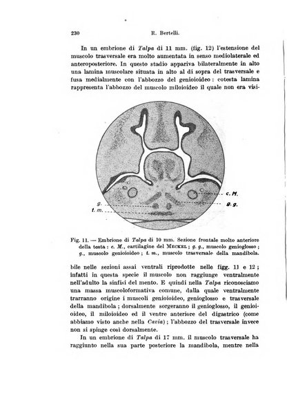 Archivio italiano di anatomia e di embriologia