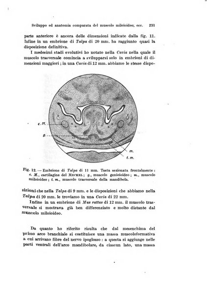 Archivio italiano di anatomia e di embriologia