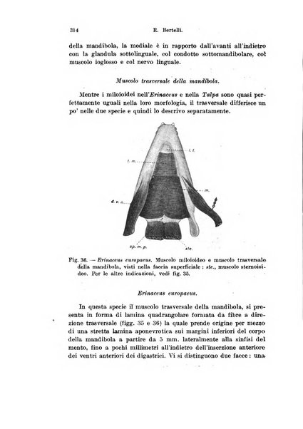 Archivio italiano di anatomia e di embriologia