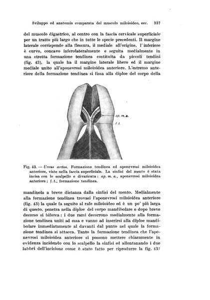 Archivio italiano di anatomia e di embriologia