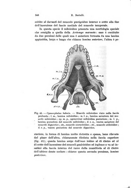 Archivio italiano di anatomia e di embriologia