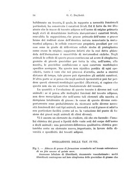 Archivio italiano di anatomia e di embriologia