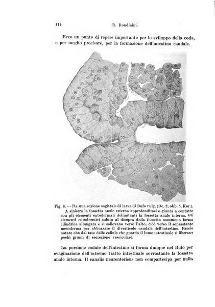 Archivio italiano di anatomia e di embriologia