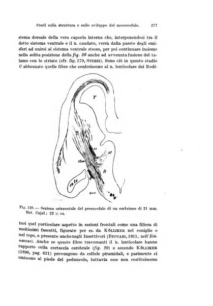 Archivio italiano di anatomia e di embriologia