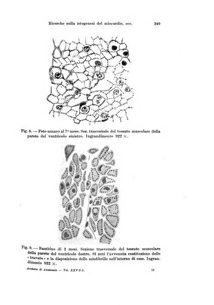 Archivio italiano di anatomia e di embriologia