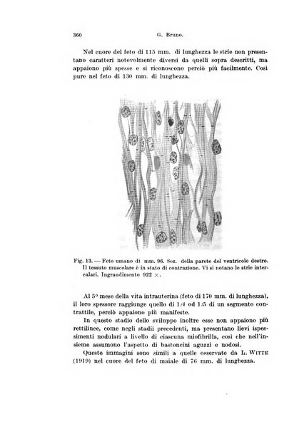 Archivio italiano di anatomia e di embriologia