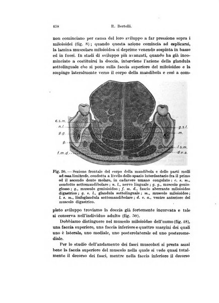 Archivio italiano di anatomia e di embriologia