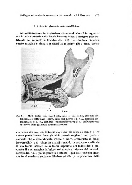 Archivio italiano di anatomia e di embriologia