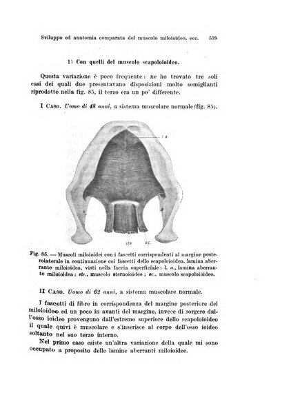 Archivio italiano di anatomia e di embriologia