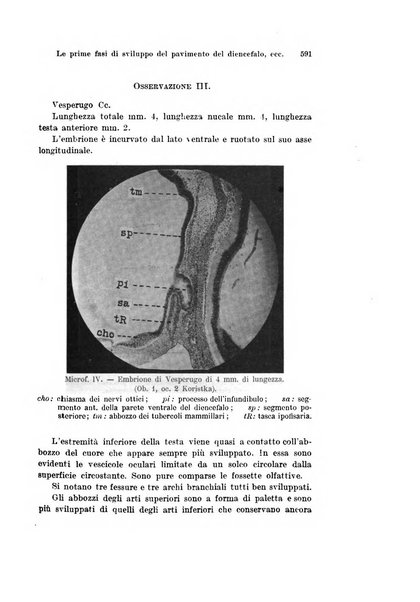 Archivio italiano di anatomia e di embriologia