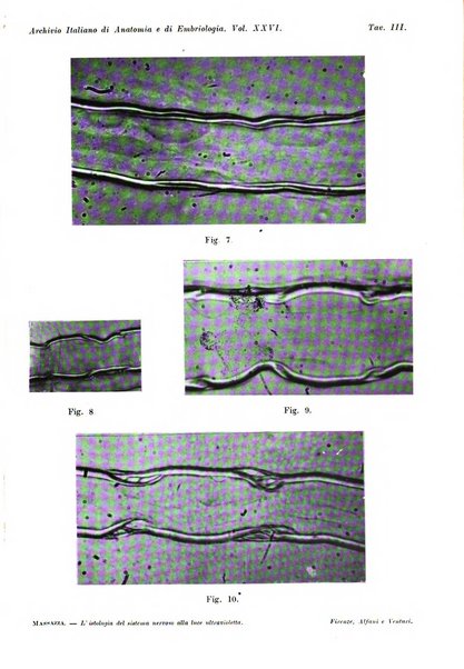 Archivio italiano di anatomia e di embriologia