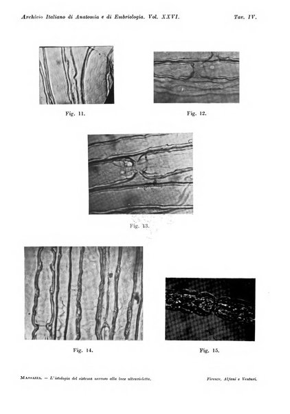 Archivio italiano di anatomia e di embriologia