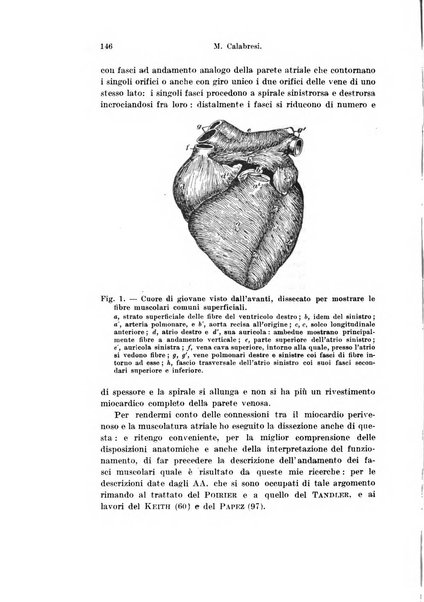 Archivio italiano di anatomia e di embriologia