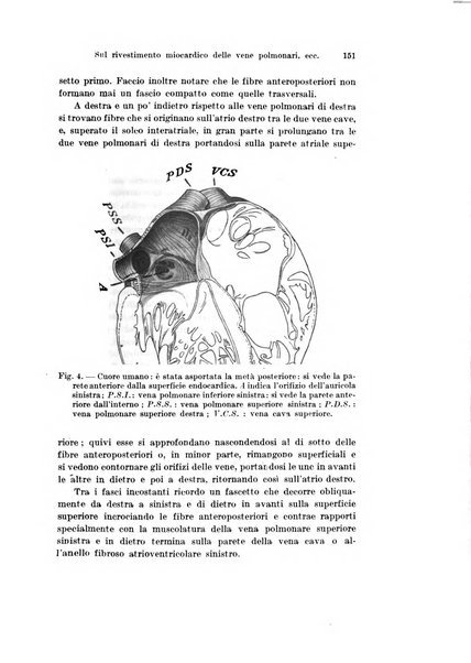 Archivio italiano di anatomia e di embriologia