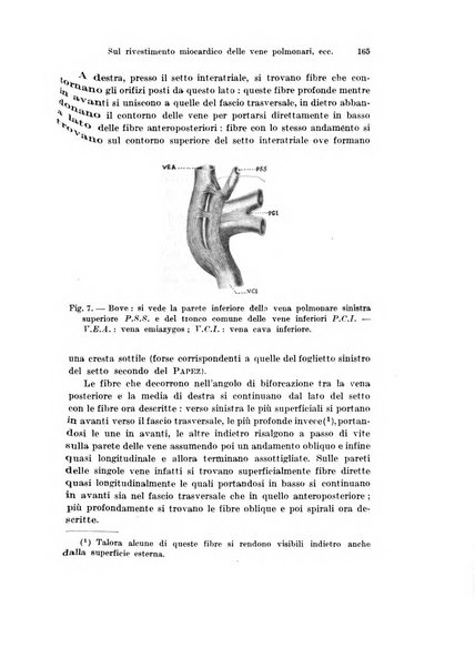 Archivio italiano di anatomia e di embriologia