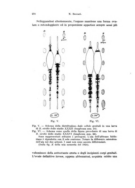 Archivio italiano di anatomia e di embriologia