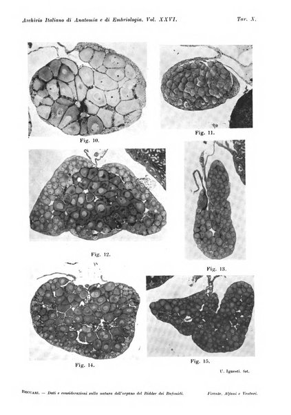 Archivio italiano di anatomia e di embriologia