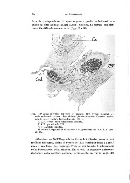 Archivio italiano di anatomia e di embriologia