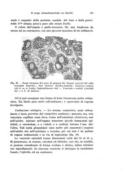 Archivio italiano di anatomia e di embriologia