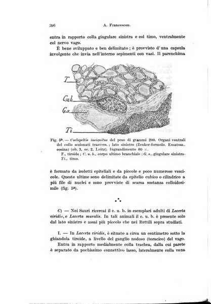 Archivio italiano di anatomia e di embriologia