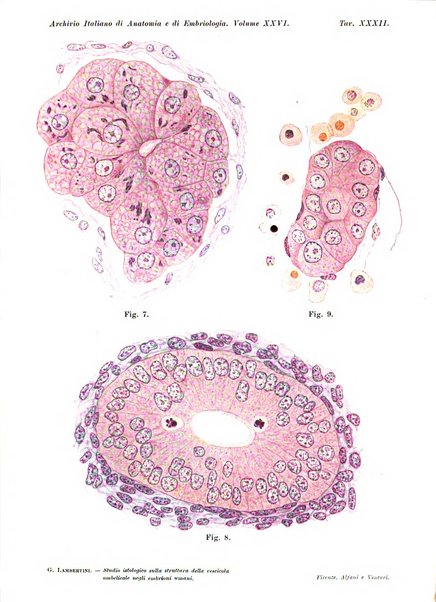 Archivio italiano di anatomia e di embriologia