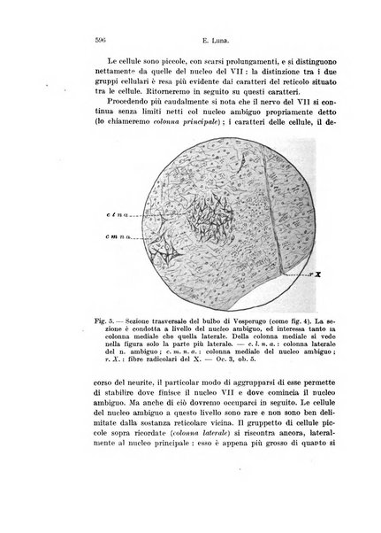 Archivio italiano di anatomia e di embriologia