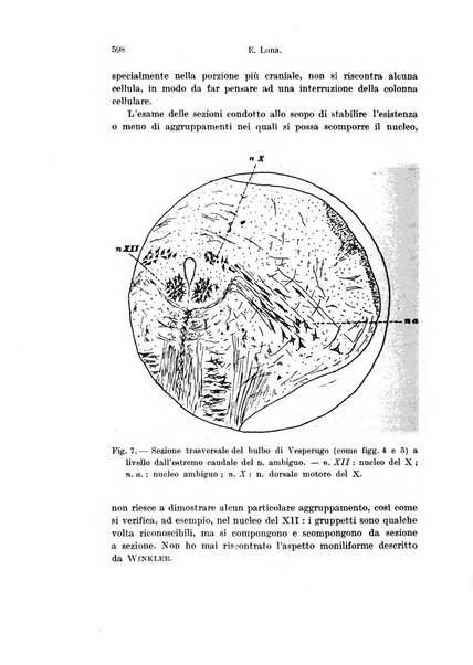 Archivio italiano di anatomia e di embriologia