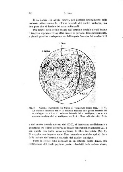 Archivio italiano di anatomia e di embriologia