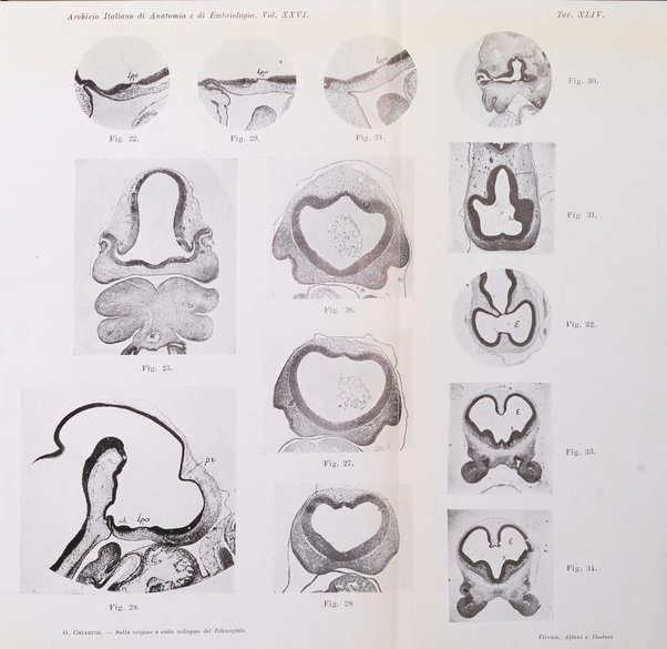 Archivio italiano di anatomia e di embriologia