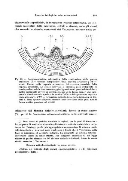 Archivio italiano di anatomia e di embriologia