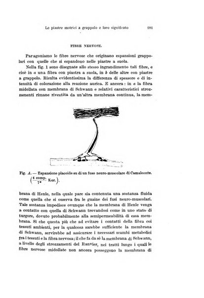 Archivio italiano di anatomia e di embriologia