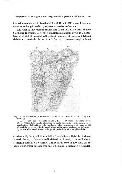 Archivio italiano di anatomia e di embriologia