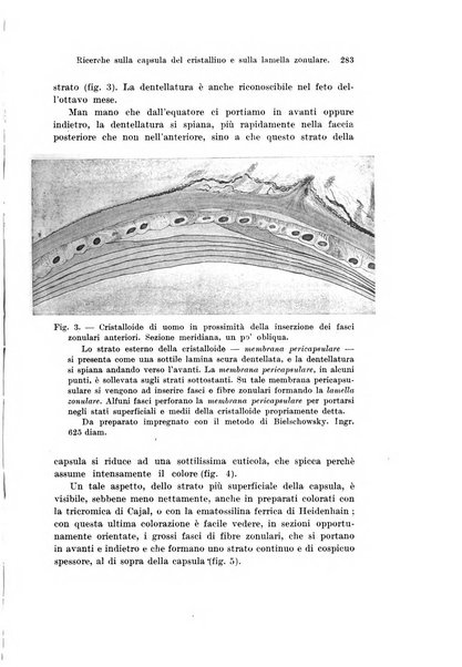 Archivio italiano di anatomia e di embriologia