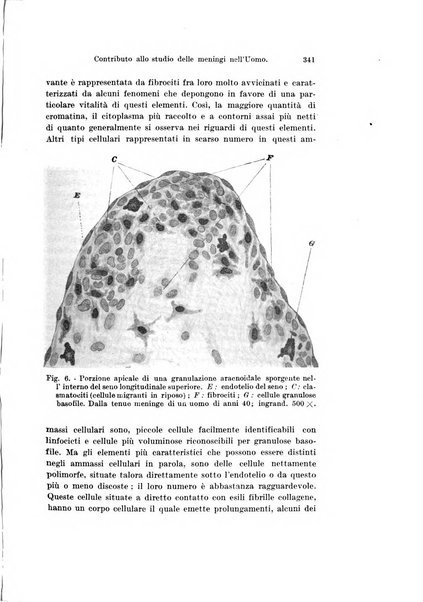 Archivio italiano di anatomia e di embriologia