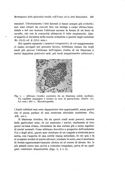 Archivio italiano di anatomia e di embriologia