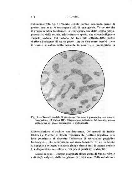 Archivio italiano di anatomia e di embriologia