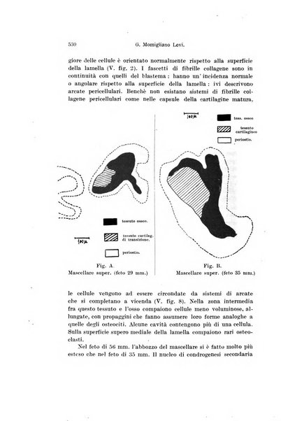 Archivio italiano di anatomia e di embriologia