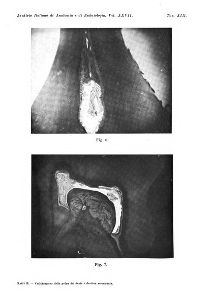 Archivio italiano di anatomia e di embriologia