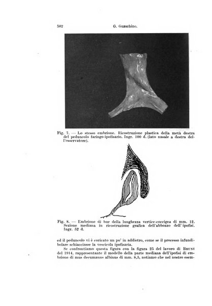 Archivio italiano di anatomia e di embriologia