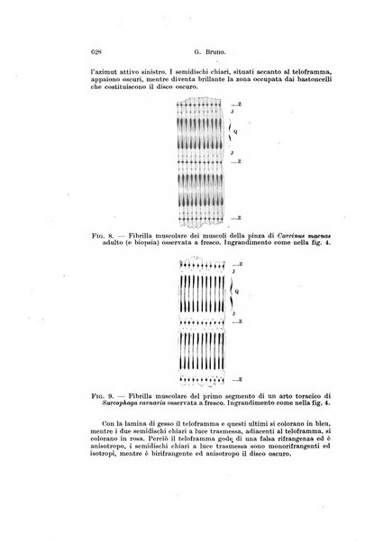 Archivio italiano di anatomia e di embriologia