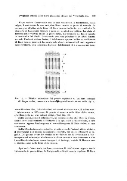 Archivio italiano di anatomia e di embriologia