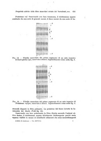 Archivio italiano di anatomia e di embriologia