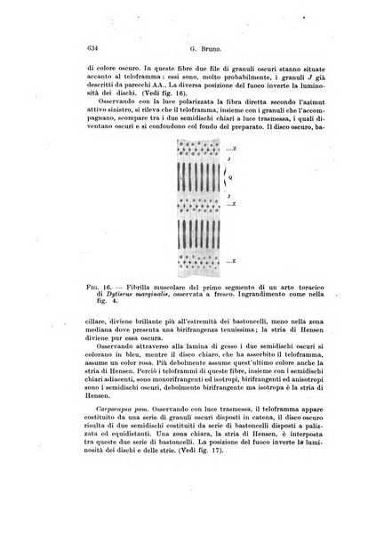 Archivio italiano di anatomia e di embriologia